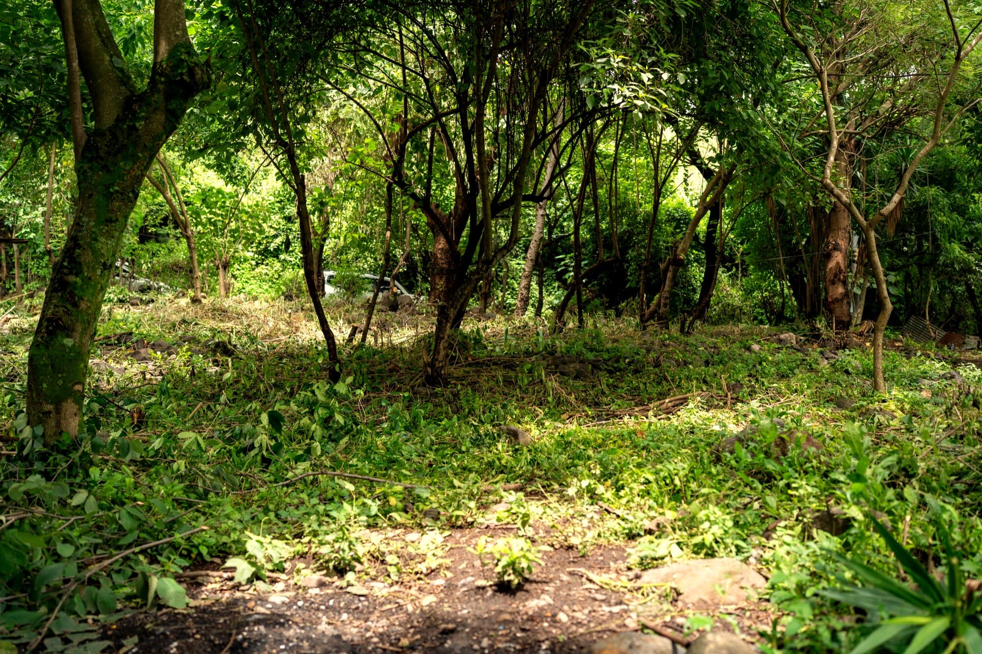 Terreno natural destinado al nuevo hogar