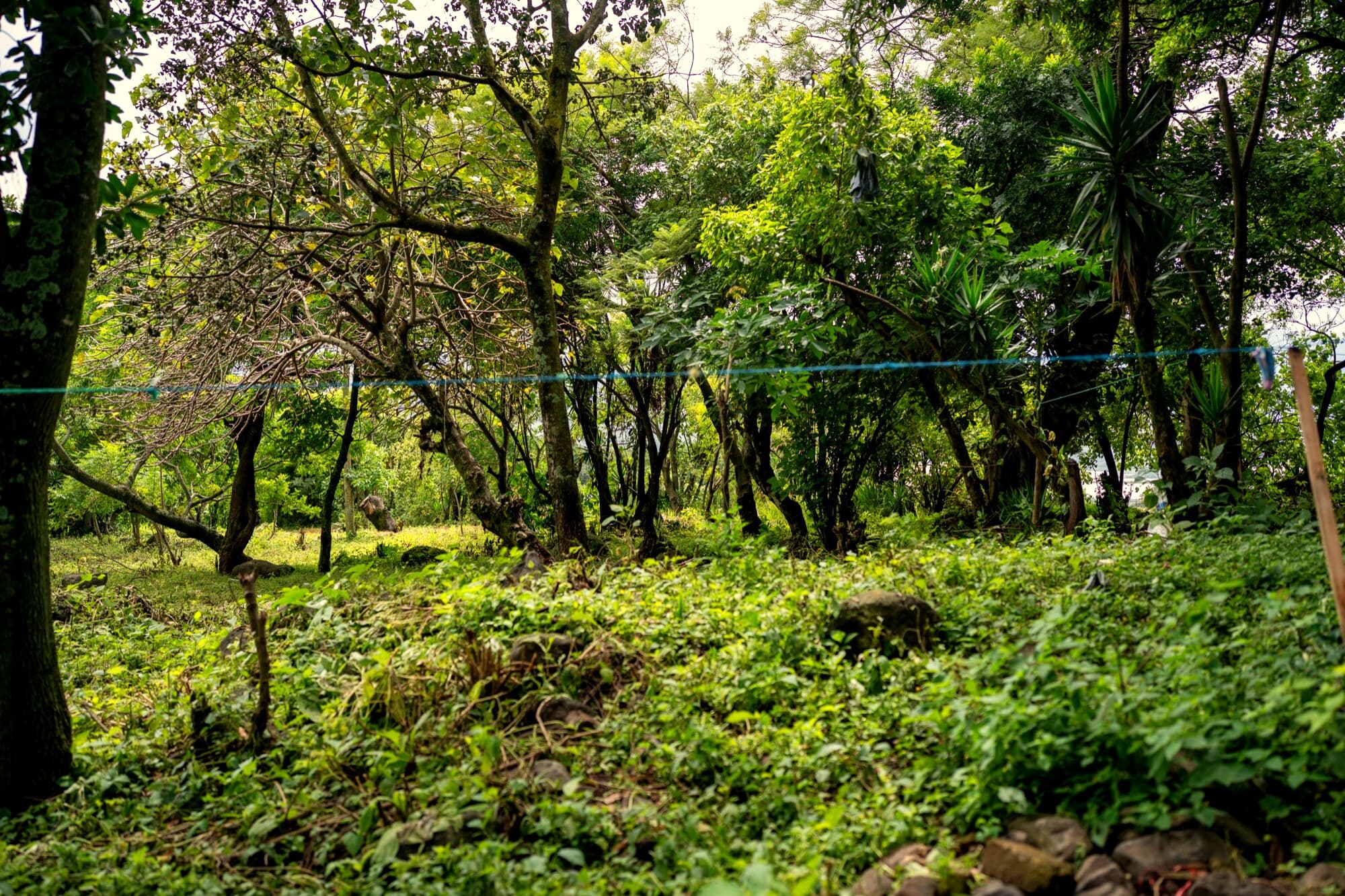 Espacio donado para el nuevo hogar